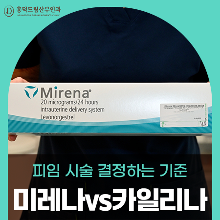 미레나와 카일리나, 어떤 기준으로 선택해야 할까요?